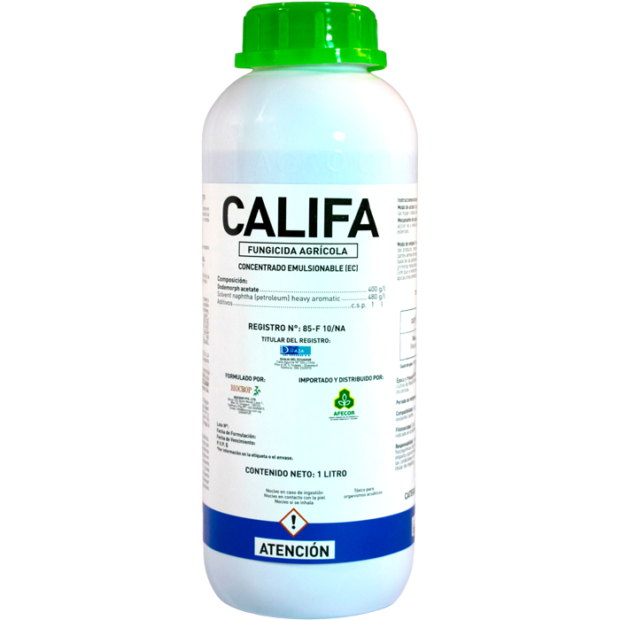 califa